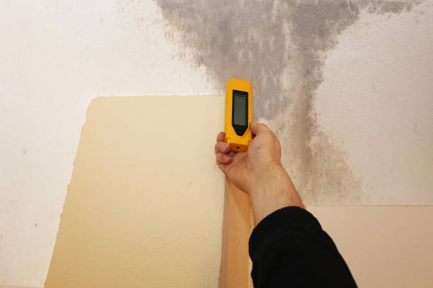 Best HVAC Mold Inspection and Cleaning  in Advae, NC