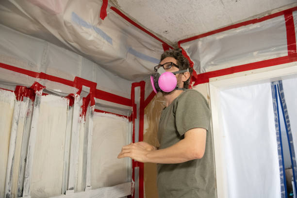 Best Post-Construction Mold Inspection  in Advae, NC