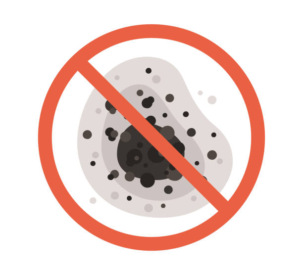 Best Mold Remediation for Healthcare Facilities  in Advae, NC