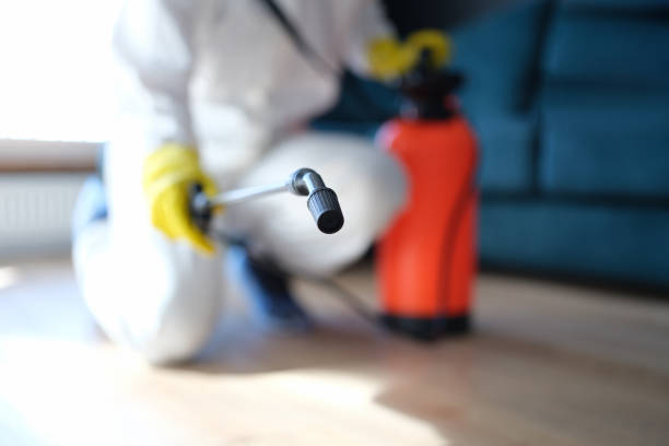 Best Environmental Consulting for Mold Prevention  in Advae, NC