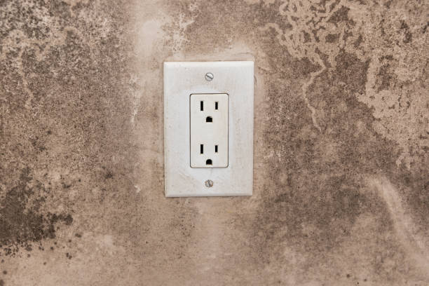 Best Forensic Mold Investigation  in Advae, NC