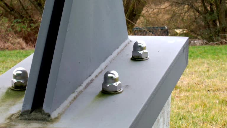 Best Biohazard Mold Removal  in Advae, NC